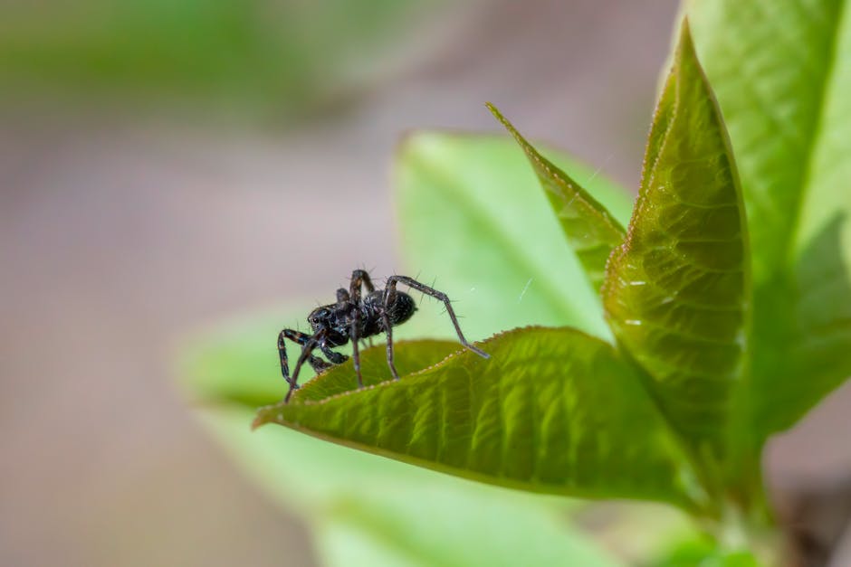 Step image 2 - How to Replace a Broken Ceramic Tile in Your Bathroom Floor